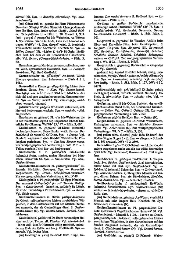 Zum Vergrößern bitte klicken Seitenanzeige: Band 6, Spalten 1055–1056