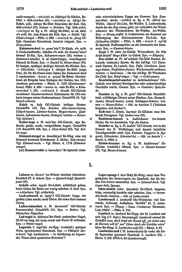 Zum Vergrößern bitte klicken Seitenanzeige: Band 6, Spalten 1079–1080